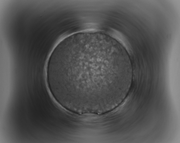 X0000099951483200805301227
