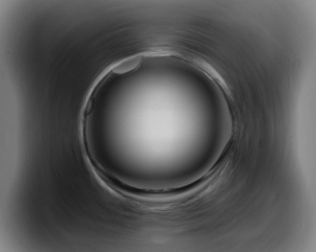 X0000099951484200805301227