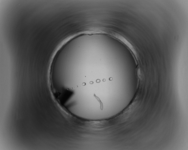 X0000099951485200805301227