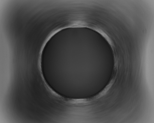 X0000099951486200805301227