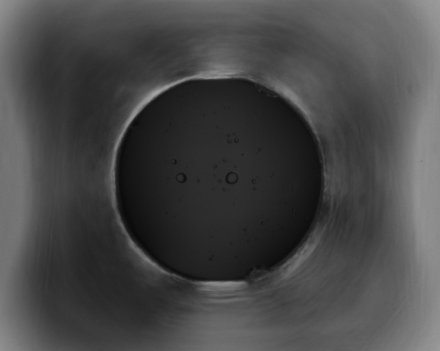 X0000099951487200805301227