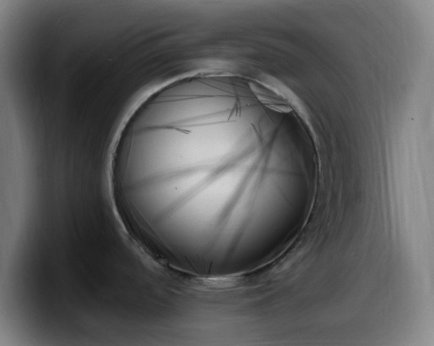 X0000099951488200805301227