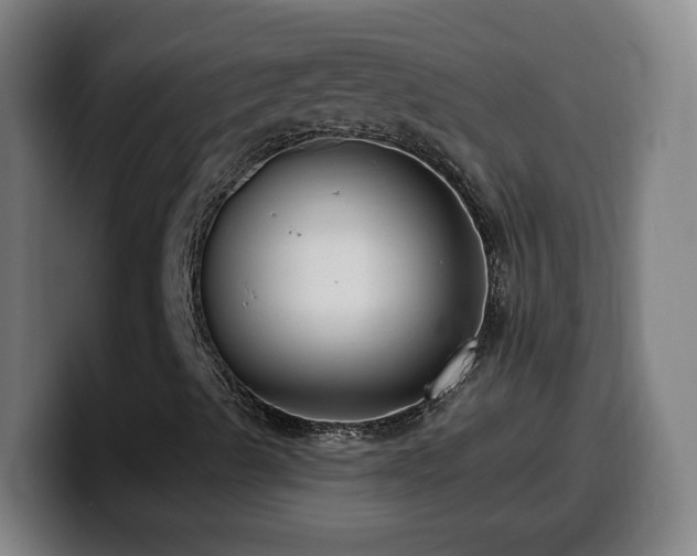 X0000099951489200805301226