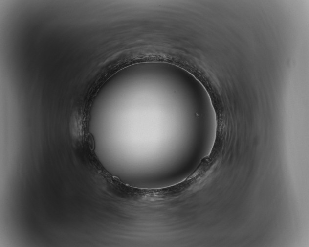 X0000099951490200805301226