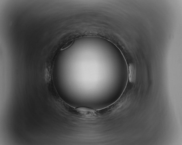X0000099951491200805301226