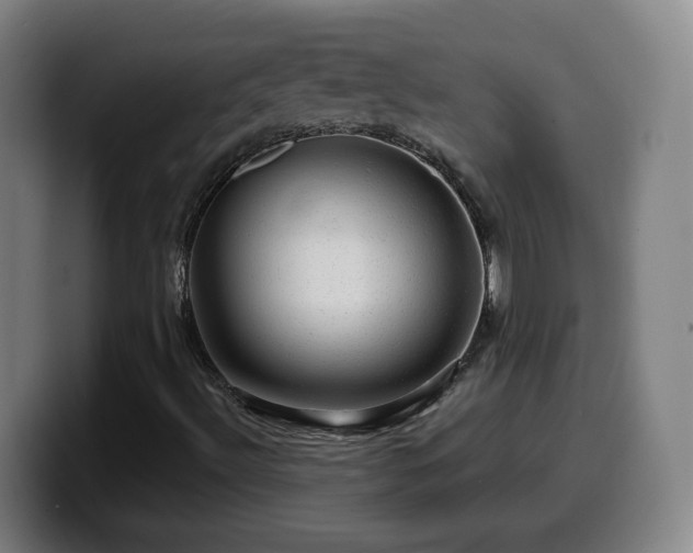 X0000099951492200805301226