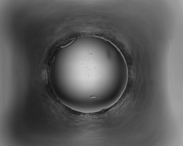 X0000099951493200805301226