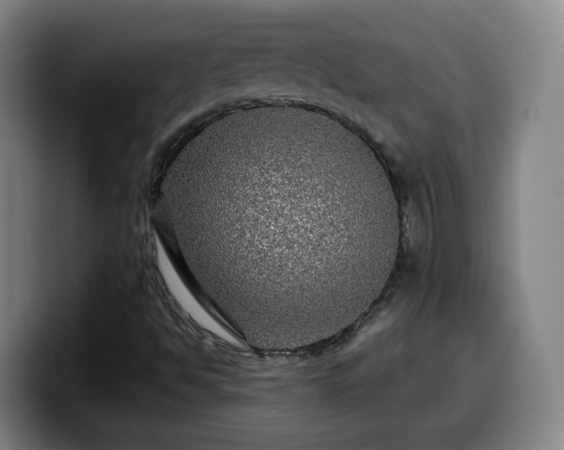 X0000099951494200805301226