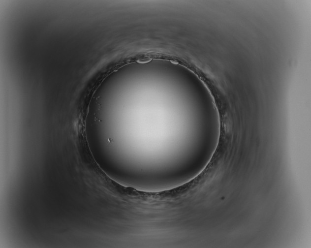 X0000099951495200805301226