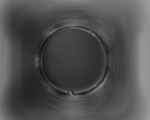 X0000099951497200805301226