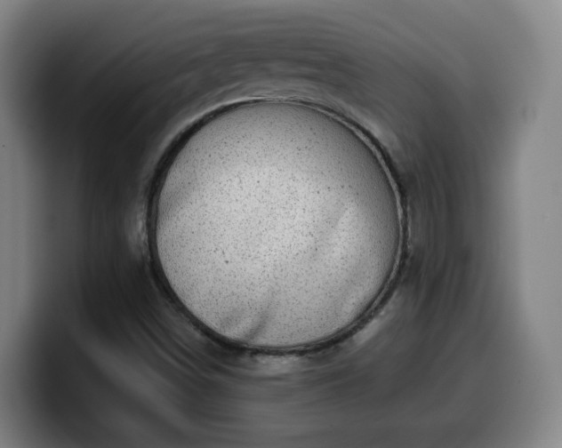 X0000099951498200805301226