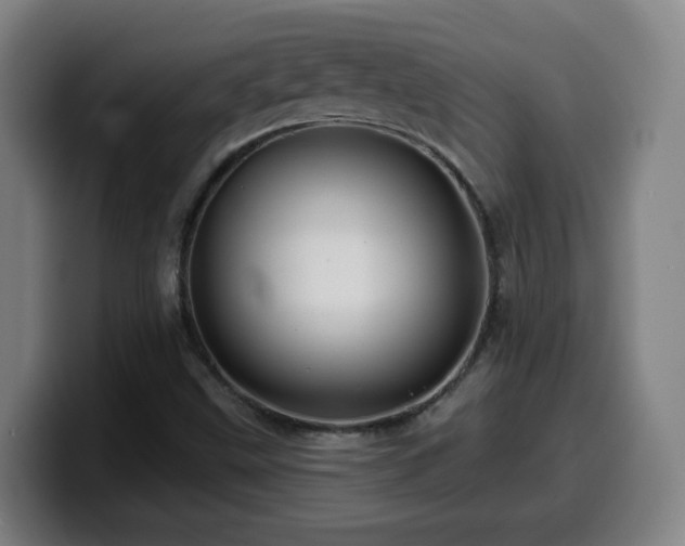 X0000099951499200805301226