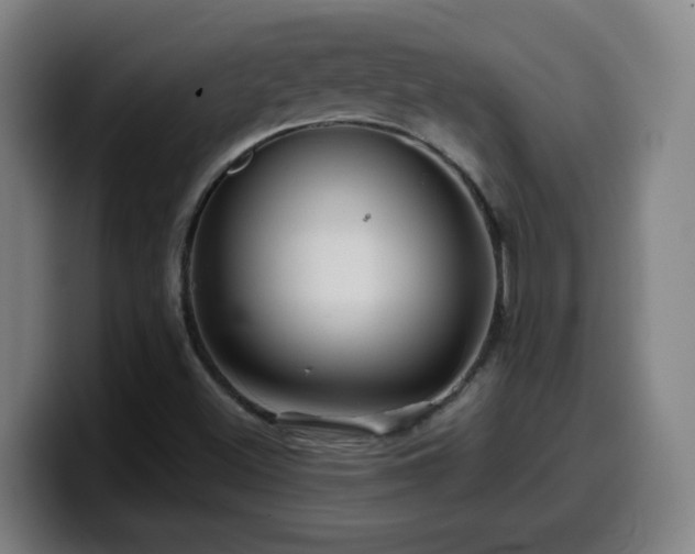 X0000099951500200805301226