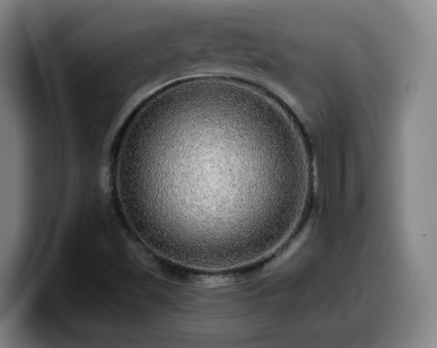 X0000099951501200805301226