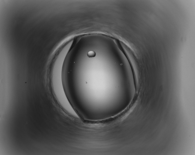 X0000099951502200805301226