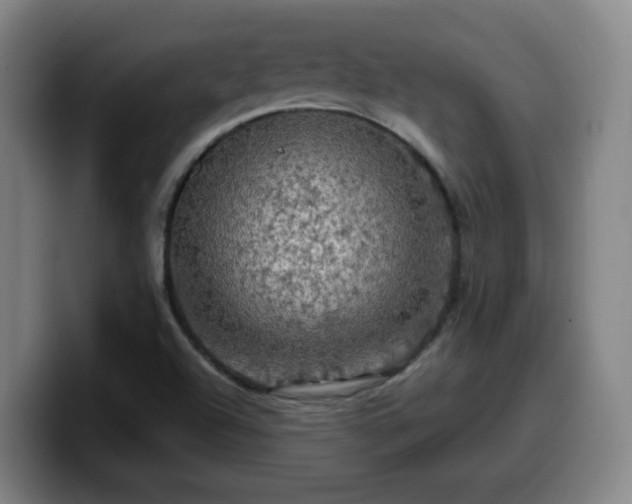 X0000099951504200805301226