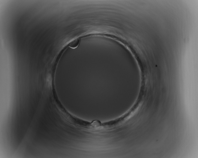 X0000099951505200805301226