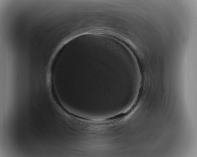 X0000099951506200805301226
