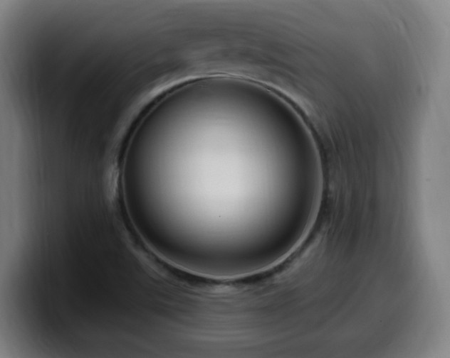 X0000099951507200805301226