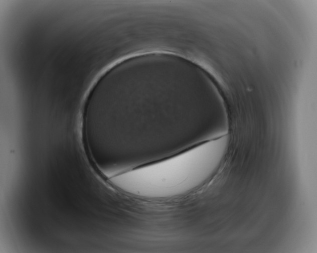 X0000099951508200805301226