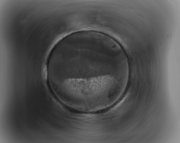 X0000099951509200805301226