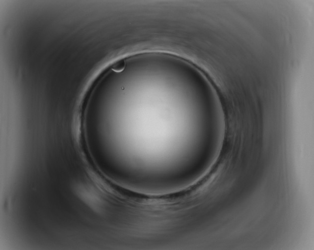 X0000099951511200805301226
