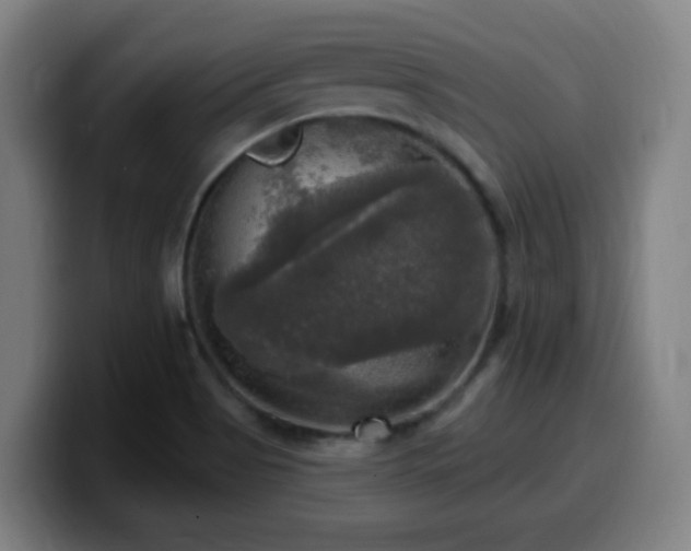X0000099951513200805301226