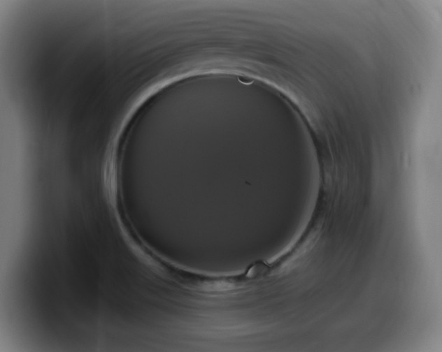 X0000099951515200805301226