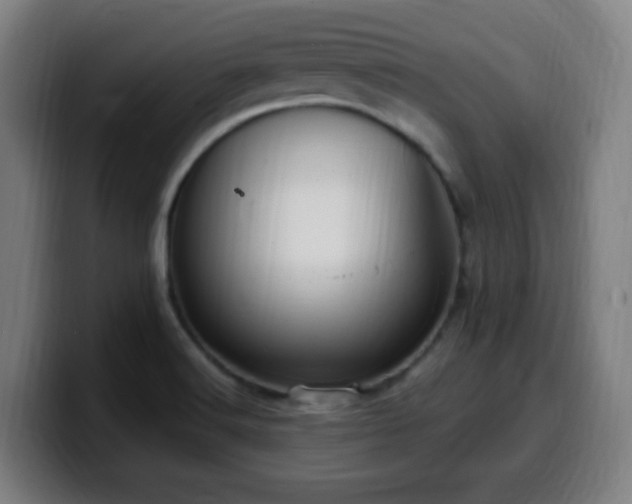 X0000099951516200805301226