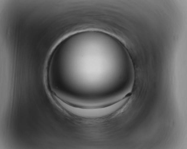 X0000099951518200805301226