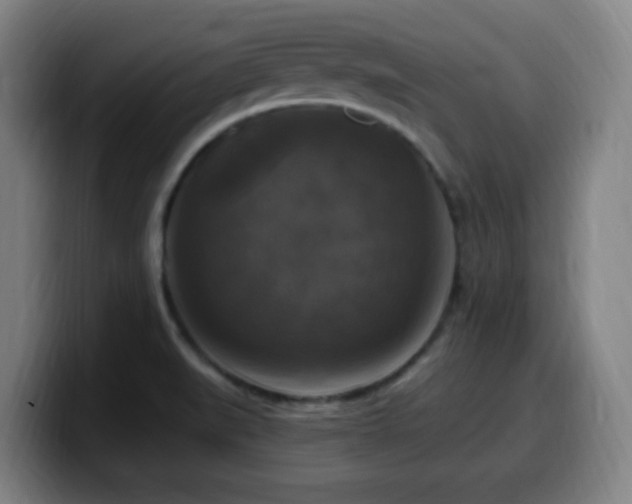 X0000099951519200805301226