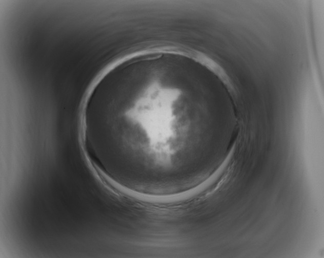 X0000099951520200805301226