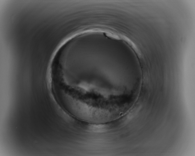 X0000099951522200805301226