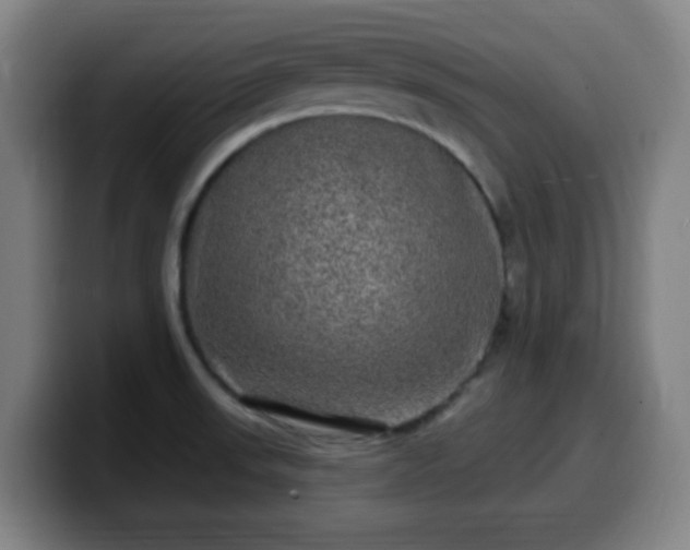 X0000099951523200805301227