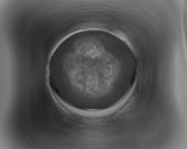 X0000099951524200805301227