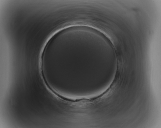 X0000099951527200805301227