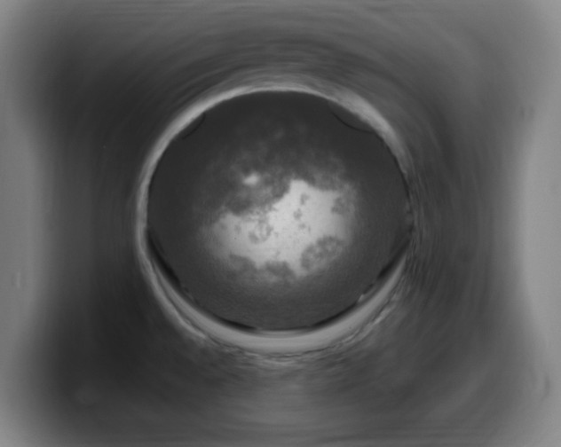 X0000099951528200805301227