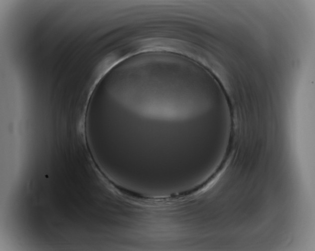 X0000099951529200805301227