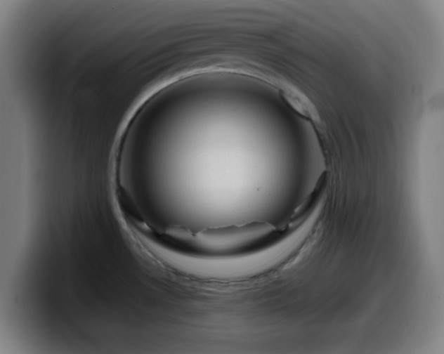 X0000099951530200805301227