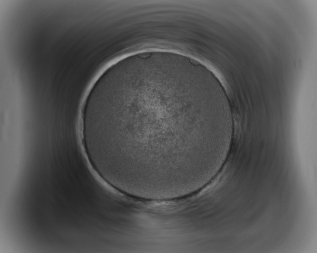 X0000099951531200805301227