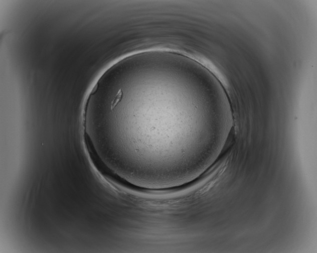 X0000099951532200805301227