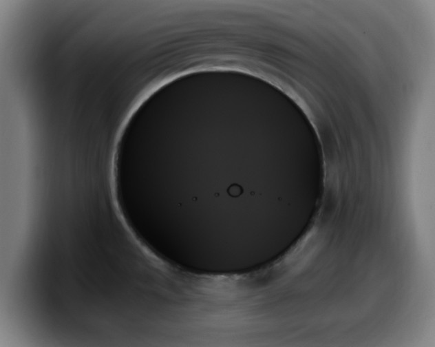 X0000099951533200805301227