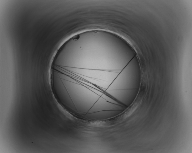 X0000099951535200805301227