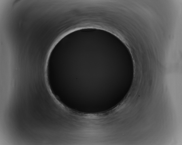 X0000099951536200805301227