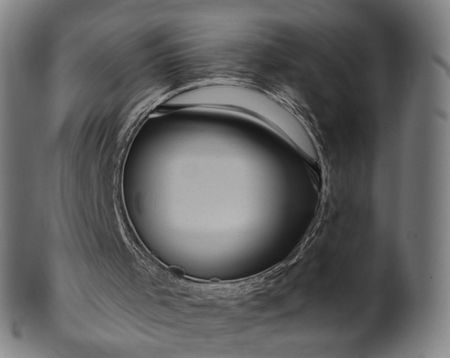 X0000099950001200806061553