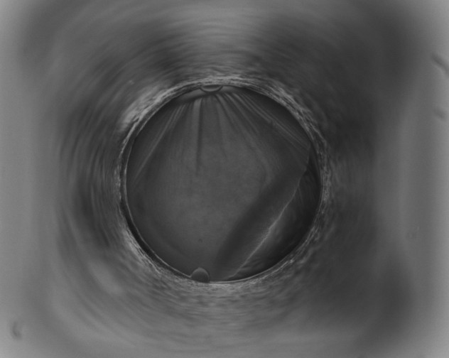 X0000099950002200806061553