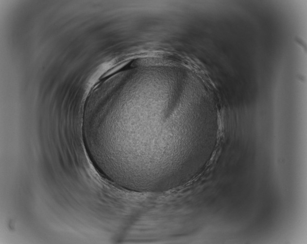 X0000099950003200806061553