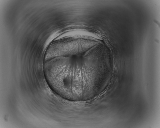 X0000099950004200806061553