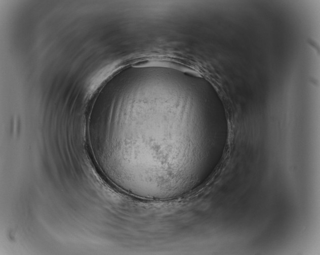 X0000099950005200806061553