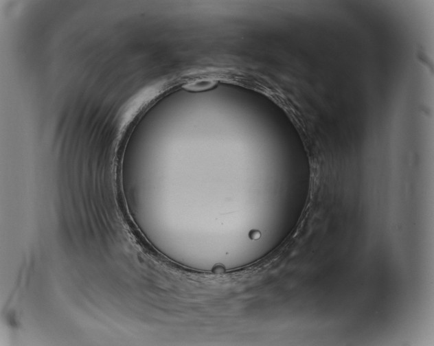 X0000099950006200806061553